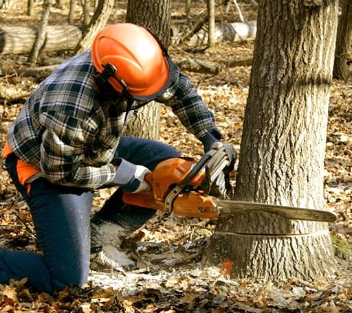 Tree Removal in Simpson, LA
